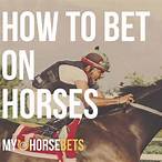 how to bet horses successfully